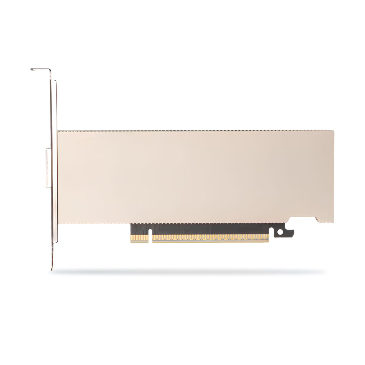 NVIDIA ConnectX-8 C8180 800G Downstream Port SuperNIC