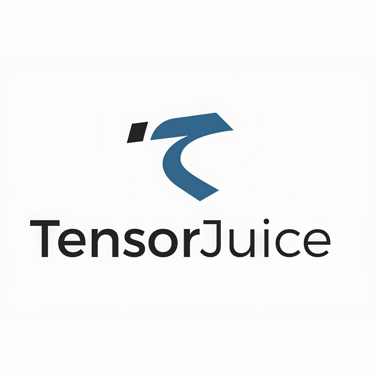 The TensorJuice logo, featuring a stylized blue and black abstract symbol above the brand name 'TensorJuice' in black sans-serif text, set against a plain white background.